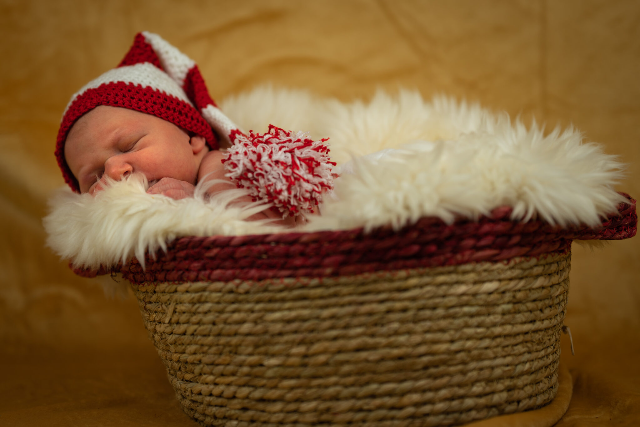 Fotós szolgáltatás újszülött fotózás