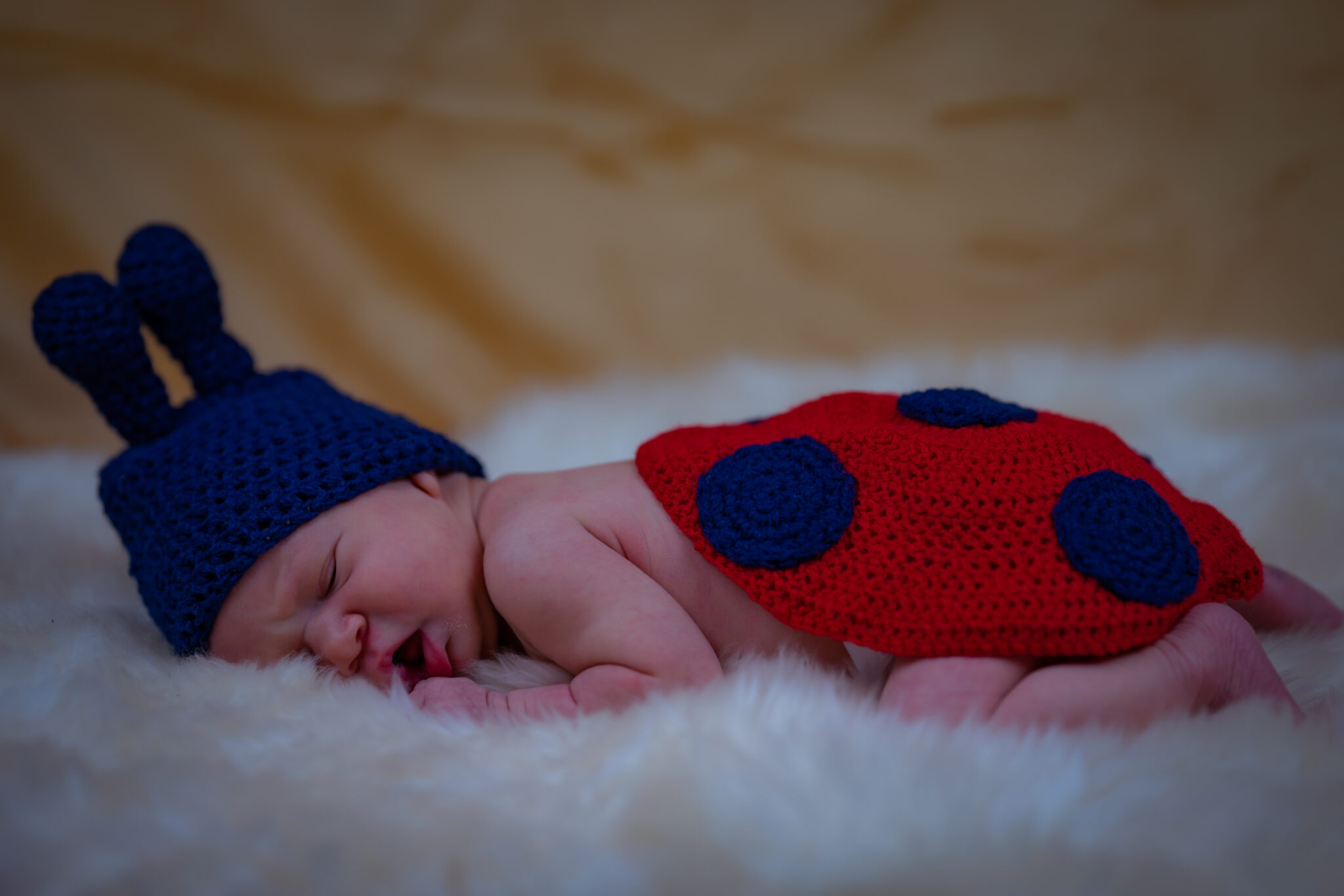 Fotós szolgáltatás újszülött fotózás