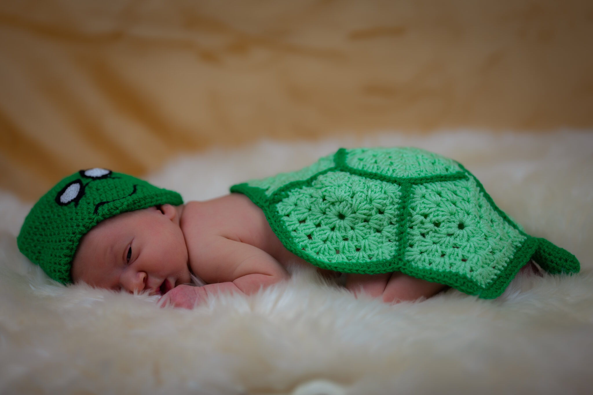 Fotós szolgáltatás újszülött fotózás