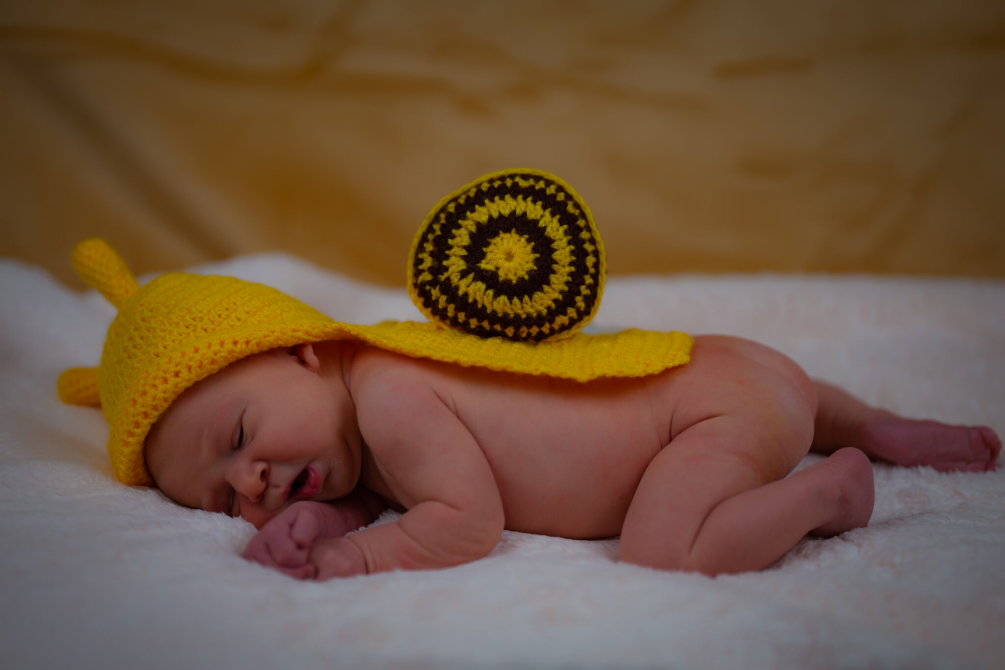 Fotós szolgáltatás újszülött fotózás