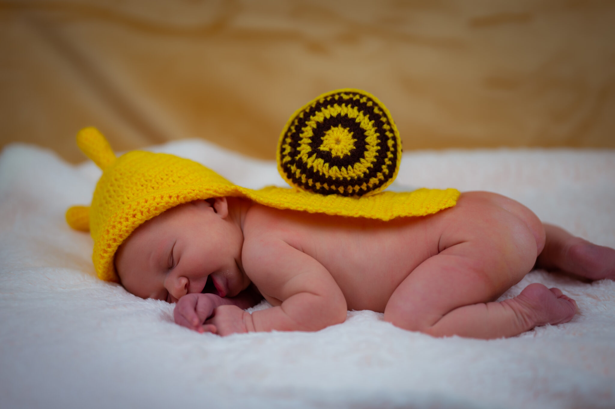 Fotós szolgáltatás újszülött fotózás