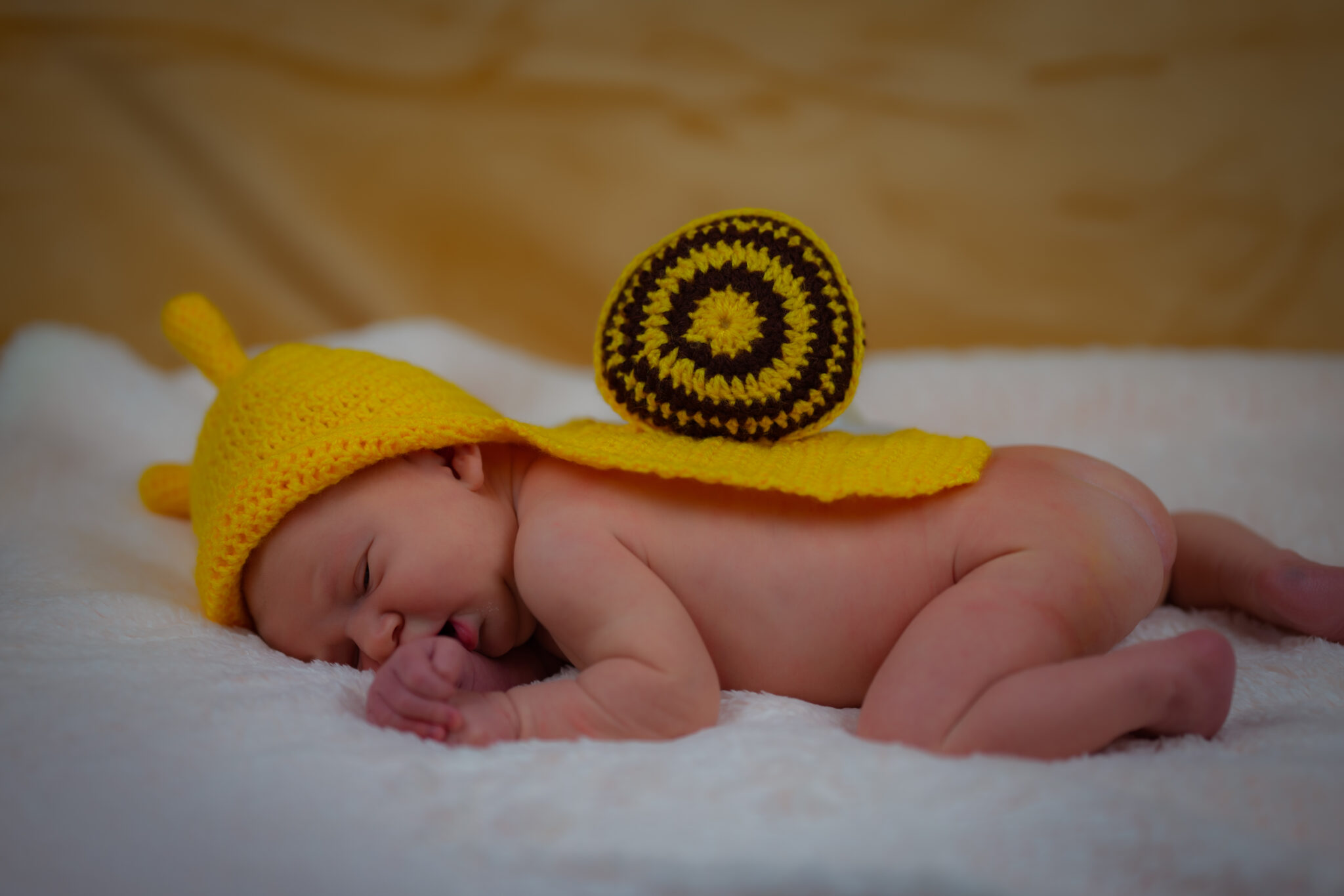 Fotós szolgáltatás újszülött fotózás